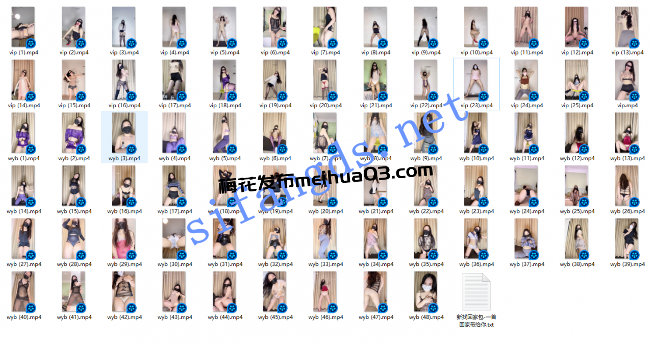 推特新晋顶B王 千金(笑笑) 4月会员裸舞+舞艺吧5期大合集74V【6.84G】